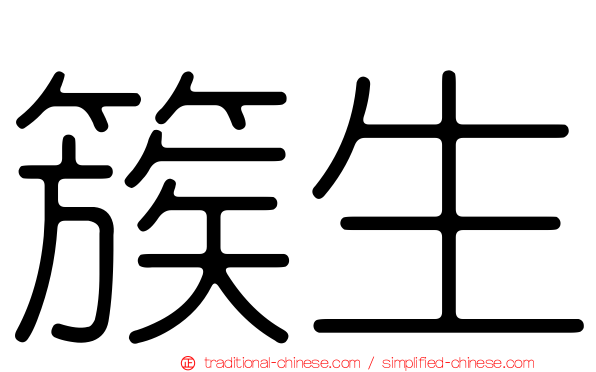簇生
