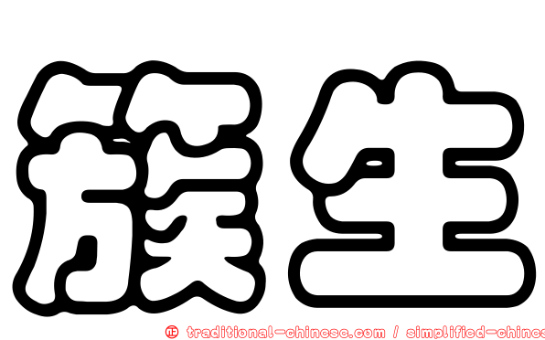 簇生