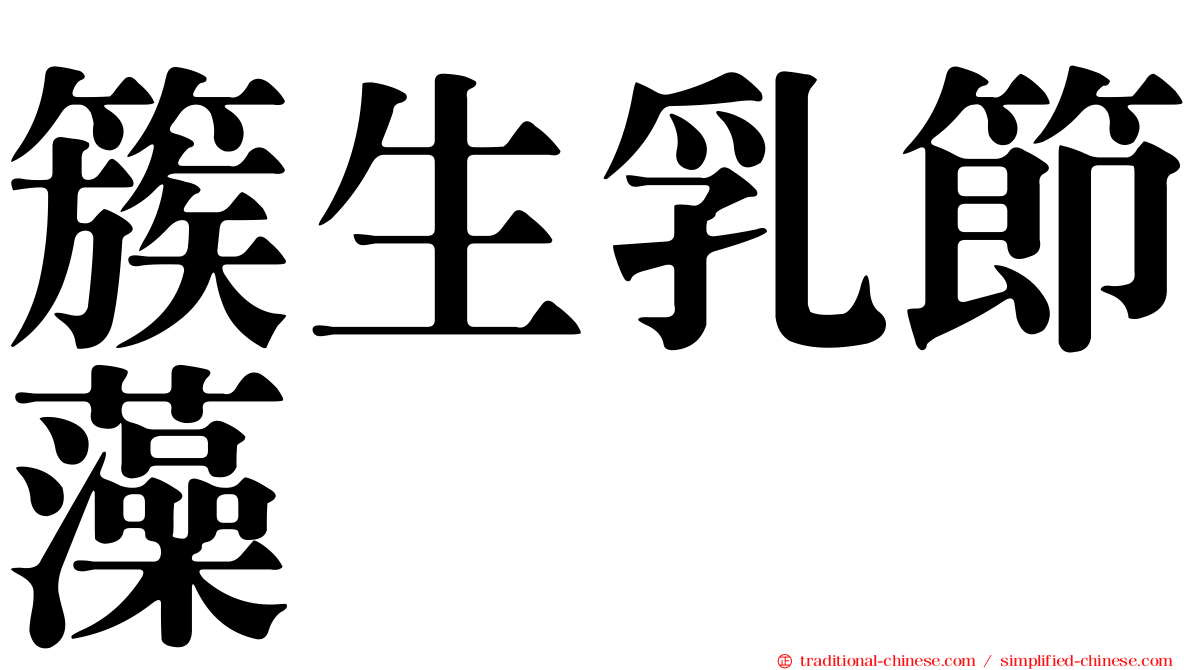 簇生乳節藻