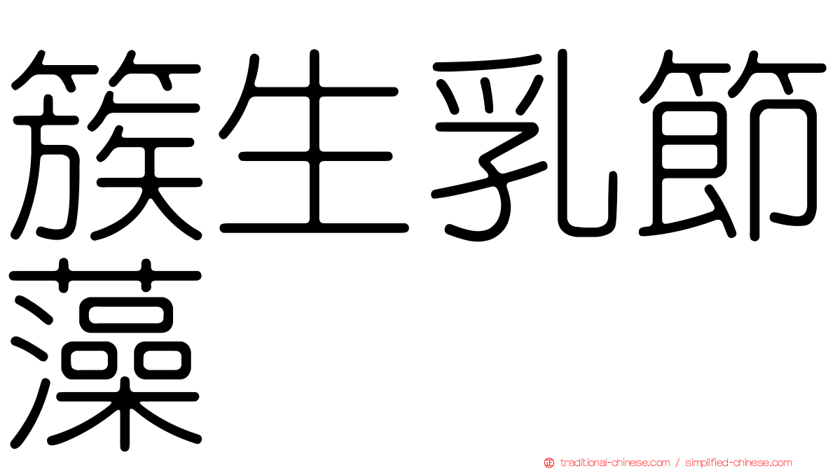 簇生乳節藻