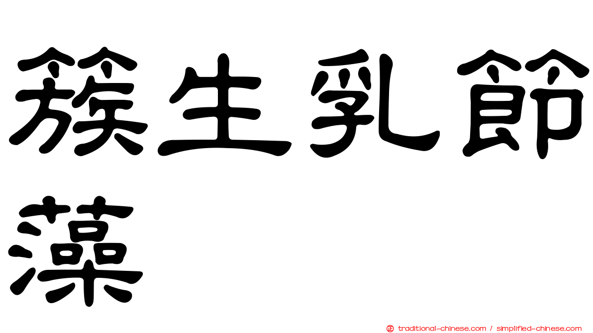 簇生乳節藻