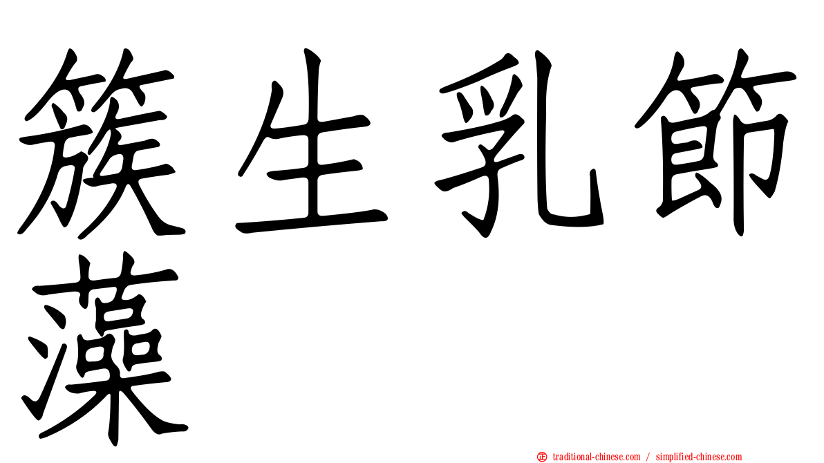 簇生乳節藻