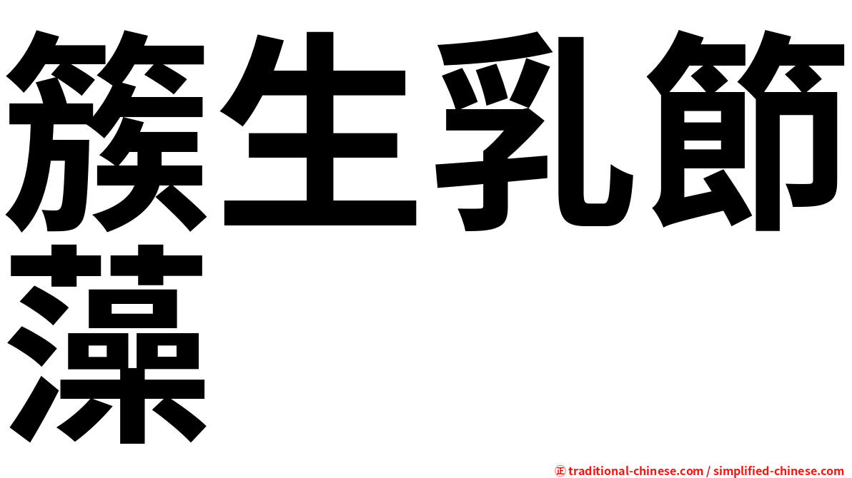 簇生乳節藻