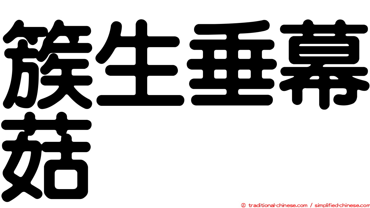 簇生垂幕菇