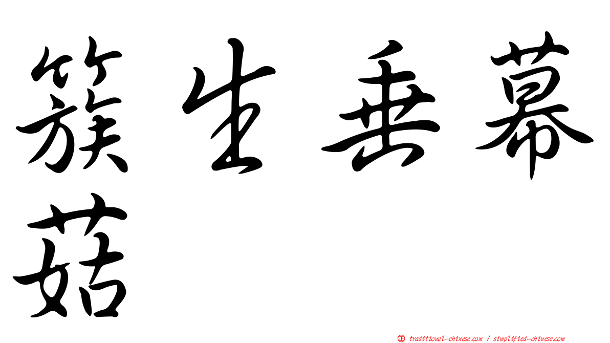 簇生垂幕菇