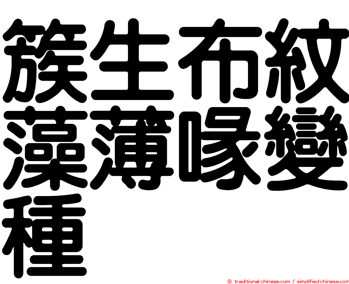 簇生布紋藻薄喙變種
