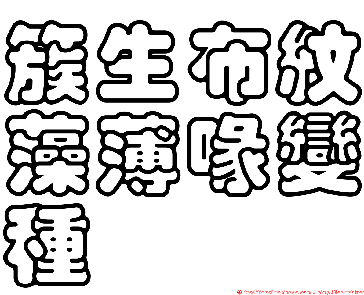 簇生布紋藻薄喙變種