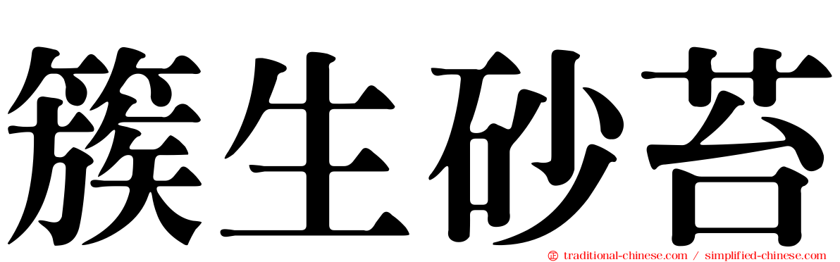 簇生砂苔
