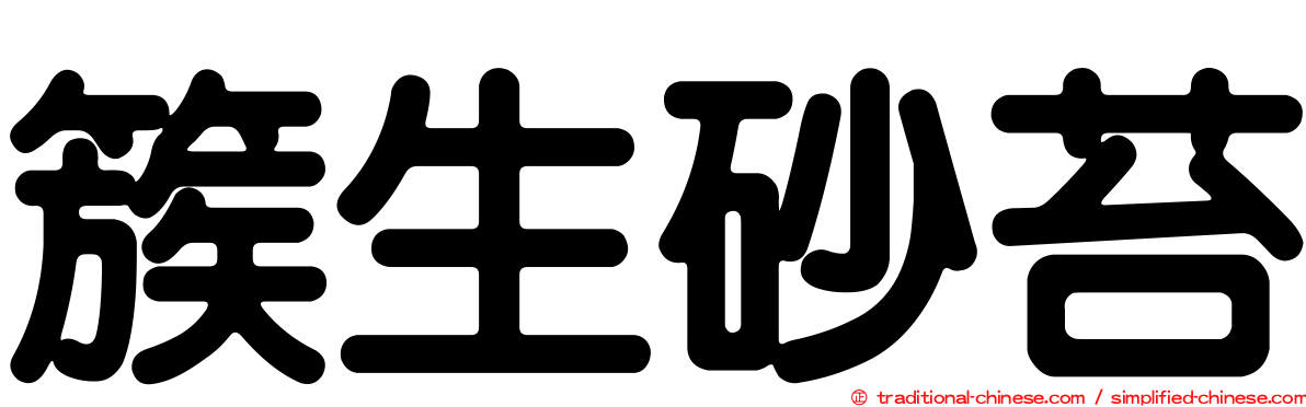 簇生砂苔