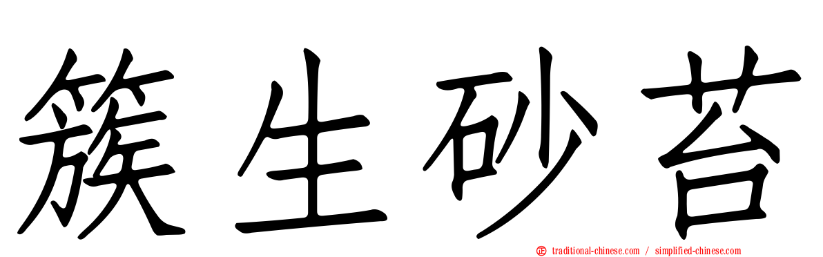 簇生砂苔