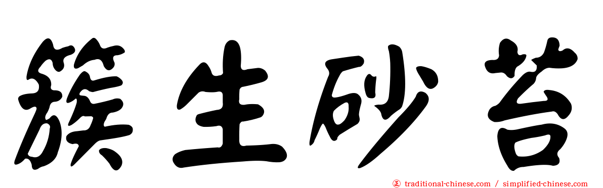 簇生砂苔