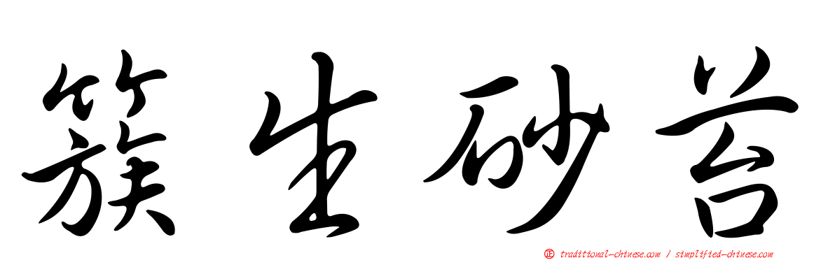 簇生砂苔