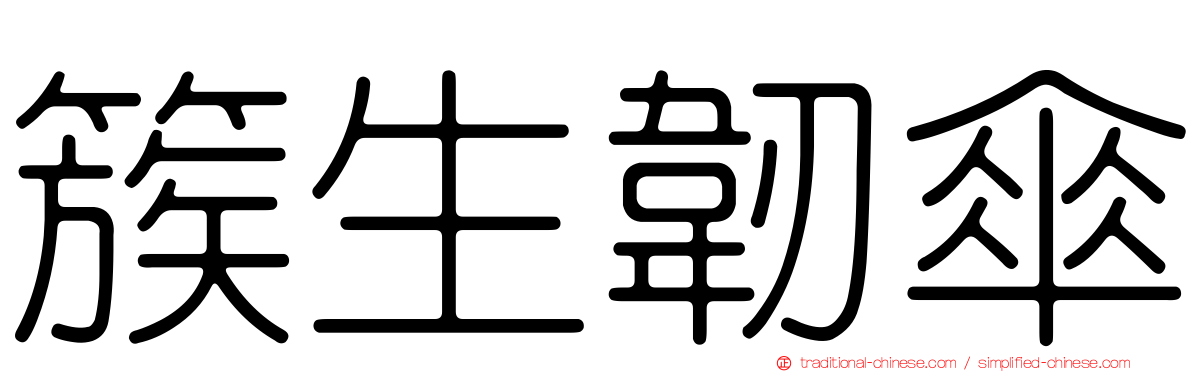 簇生韌傘