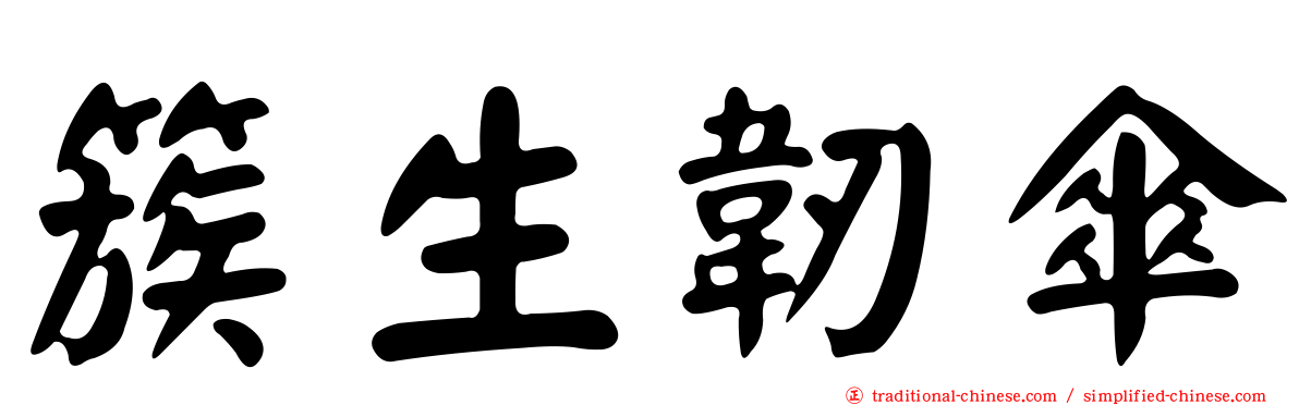 簇生韌傘