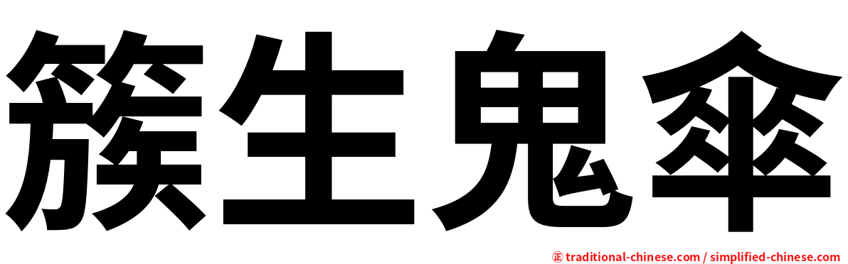 簇生鬼傘