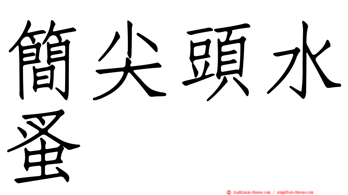 簡尖頭水蚤