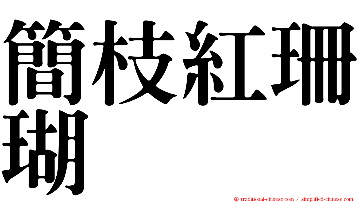 簡枝紅珊瑚