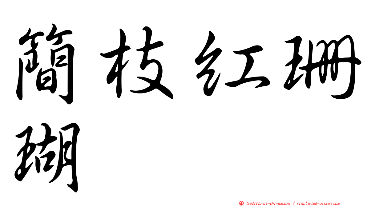 簡枝紅珊瑚