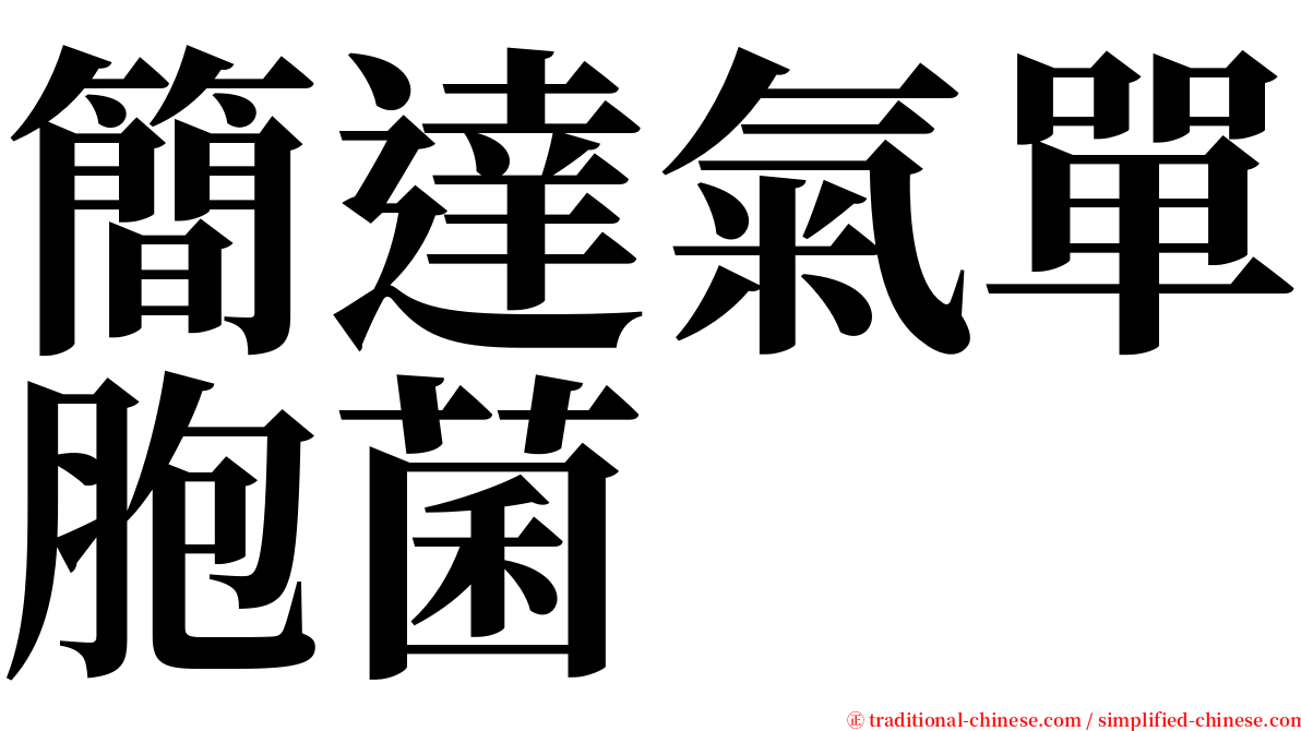 簡達氣單胞菌 serif font