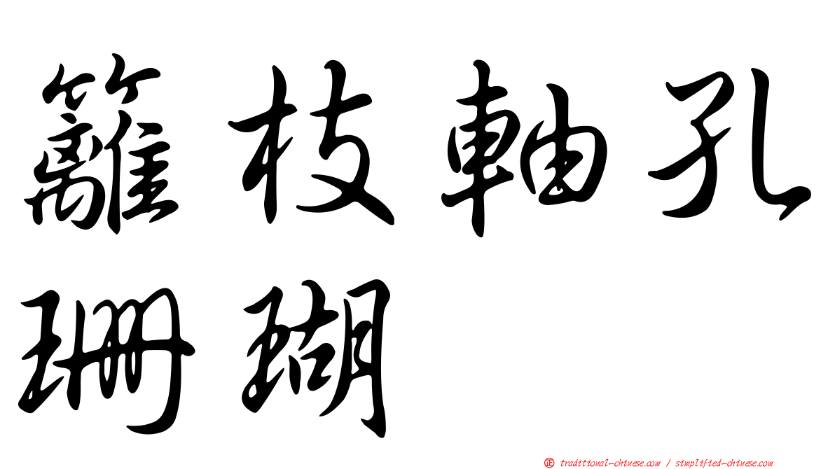 籬枝軸孔珊瑚
