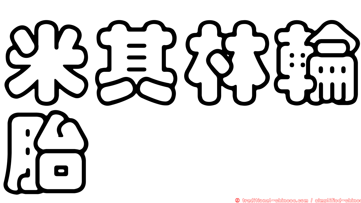 米其林輪胎