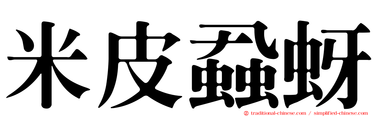 米皮蝨蚜
