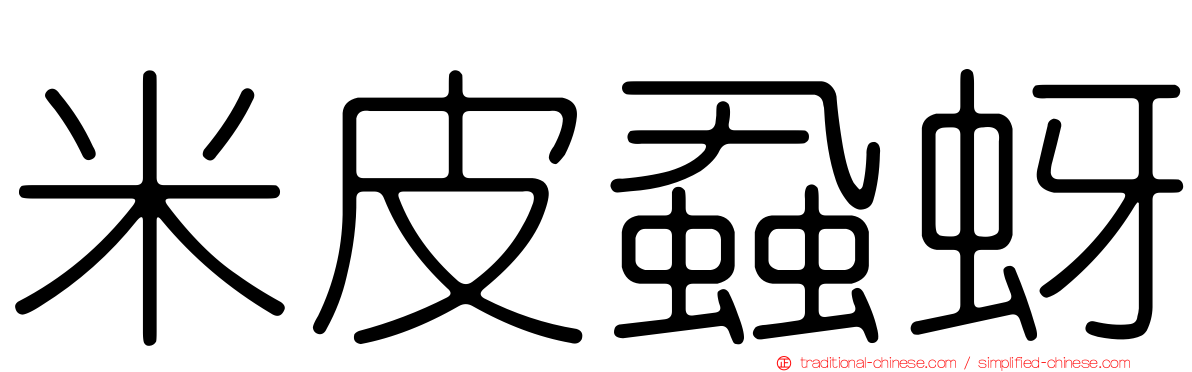 米皮蝨蚜