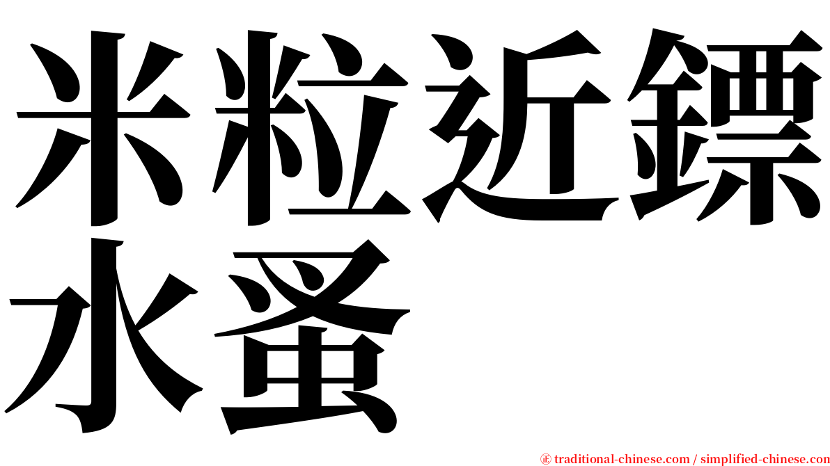 米粒近鏢水蚤 serif font