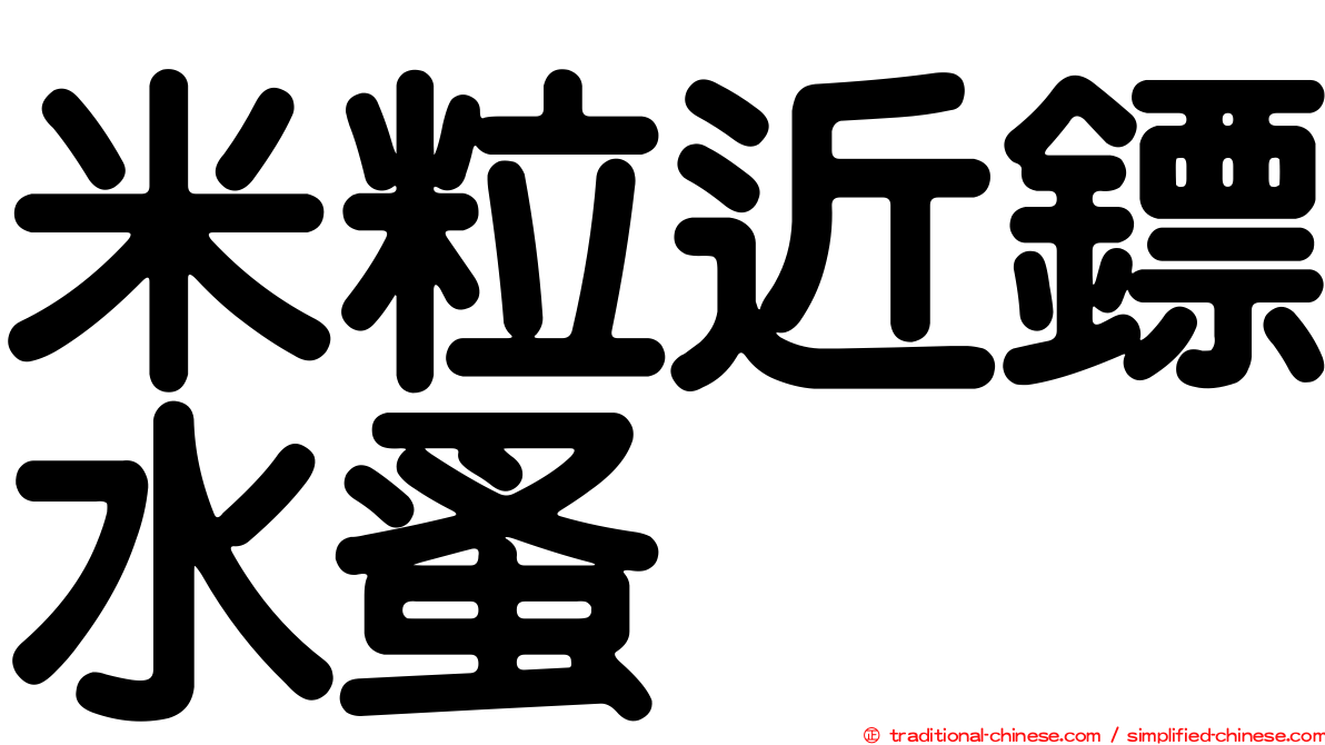 米粒近鏢水蚤