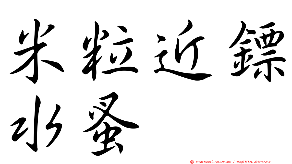 米粒近鏢水蚤