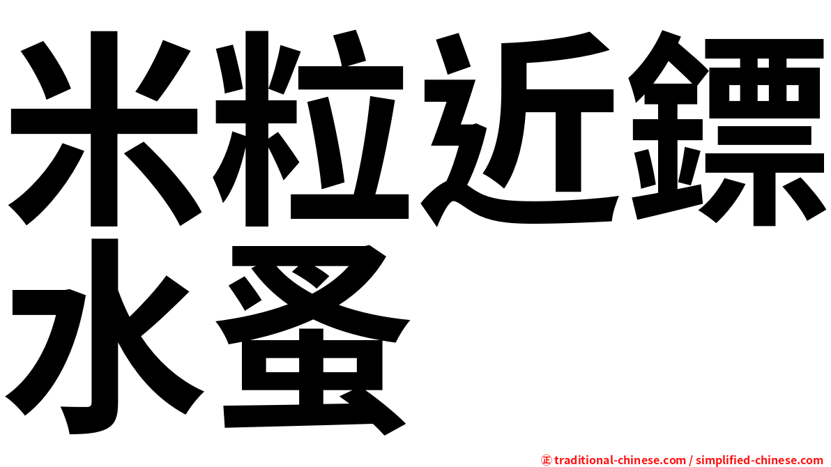 米粒近鏢水蚤