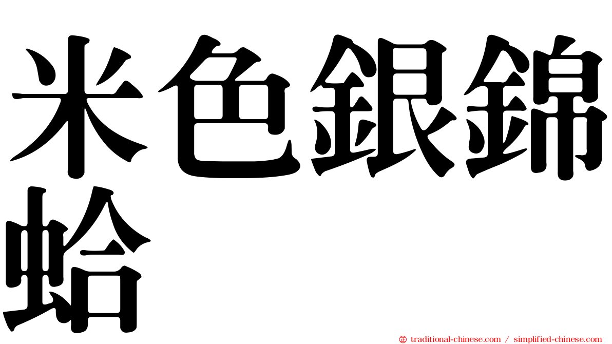 米色銀錦蛤