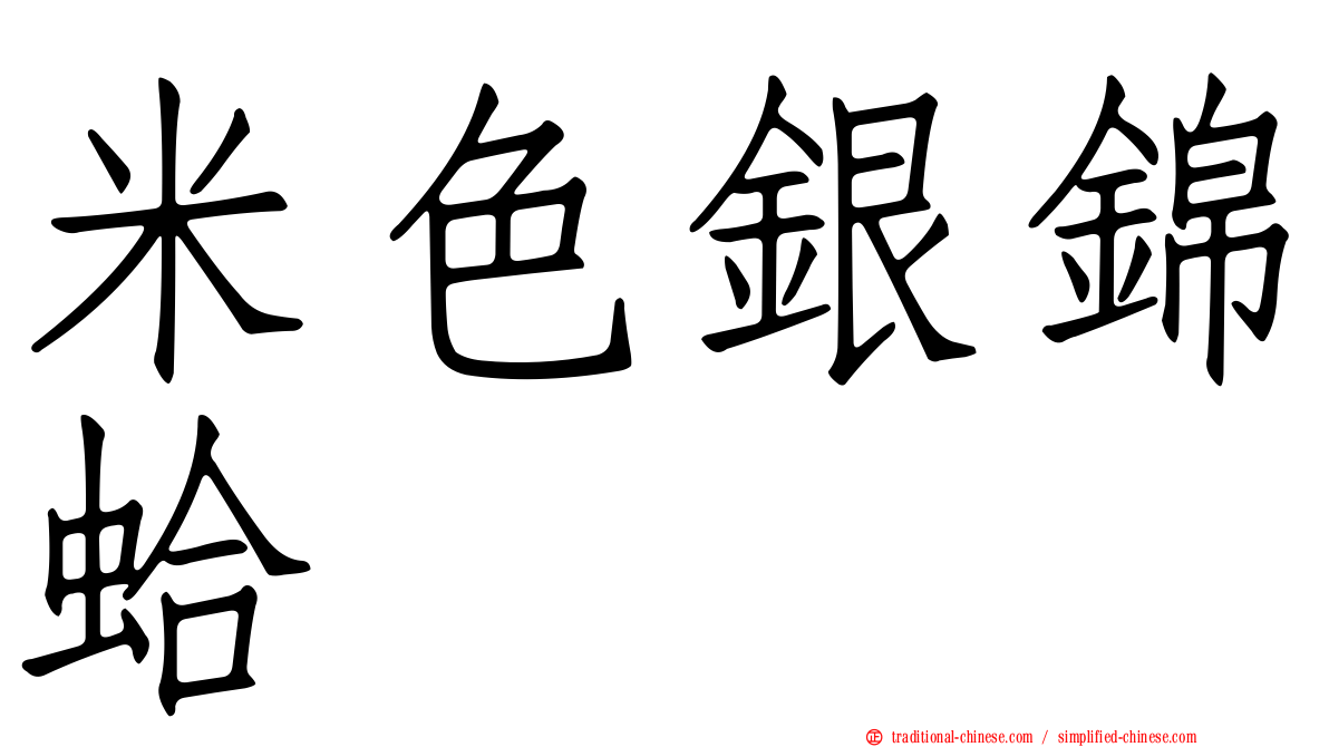 米色銀錦蛤
