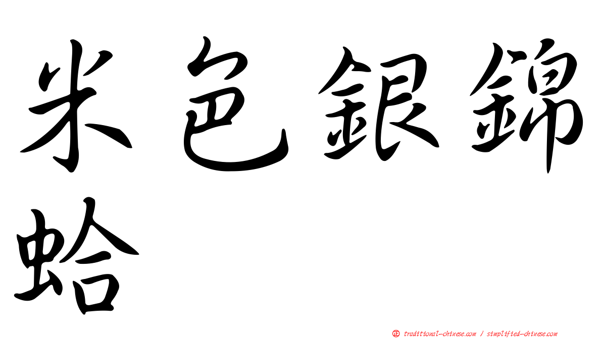 米色銀錦蛤