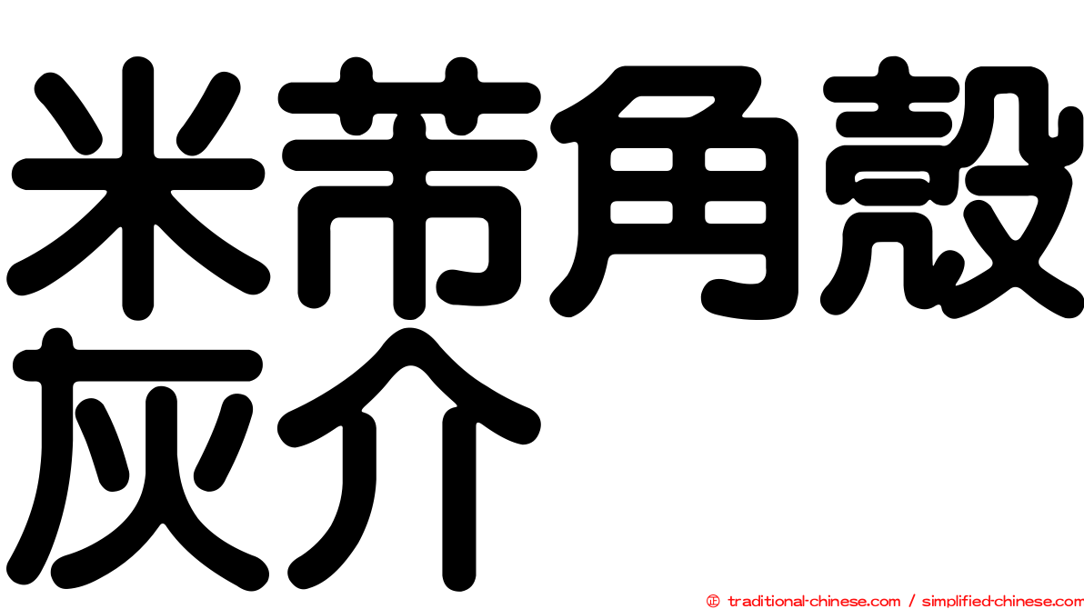 米芾角殼灰介
