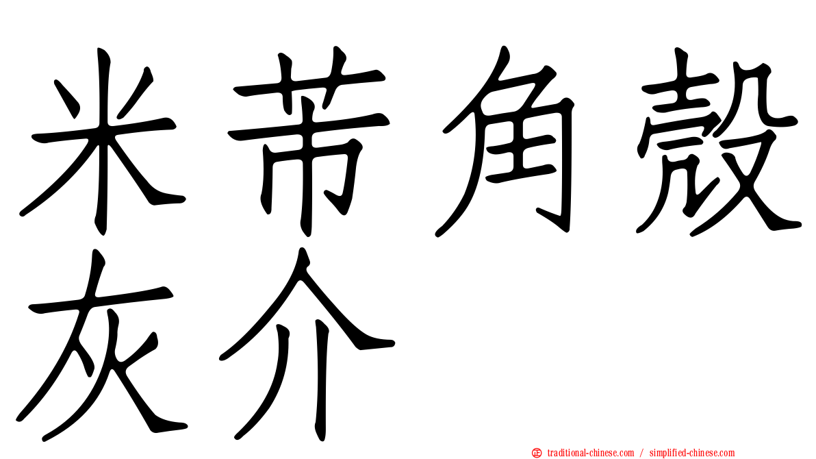 米芾角殼灰介
