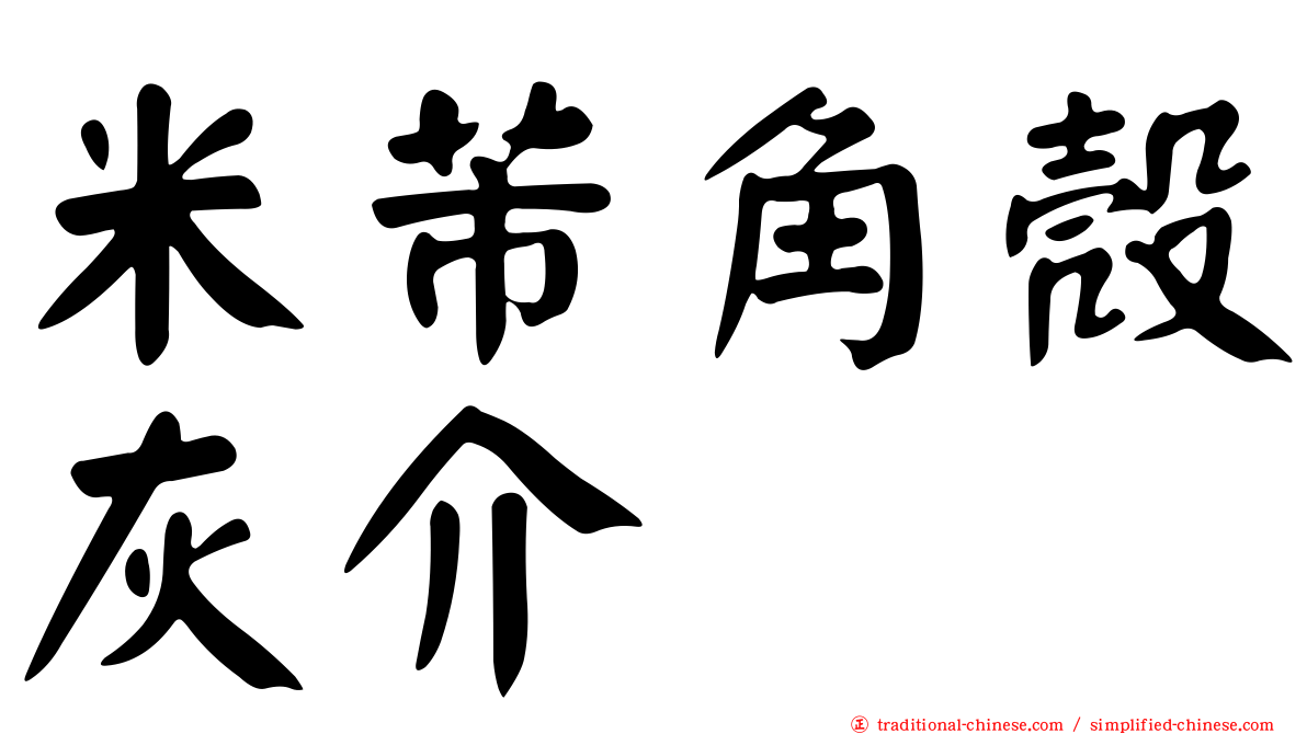 米芾角殼灰介