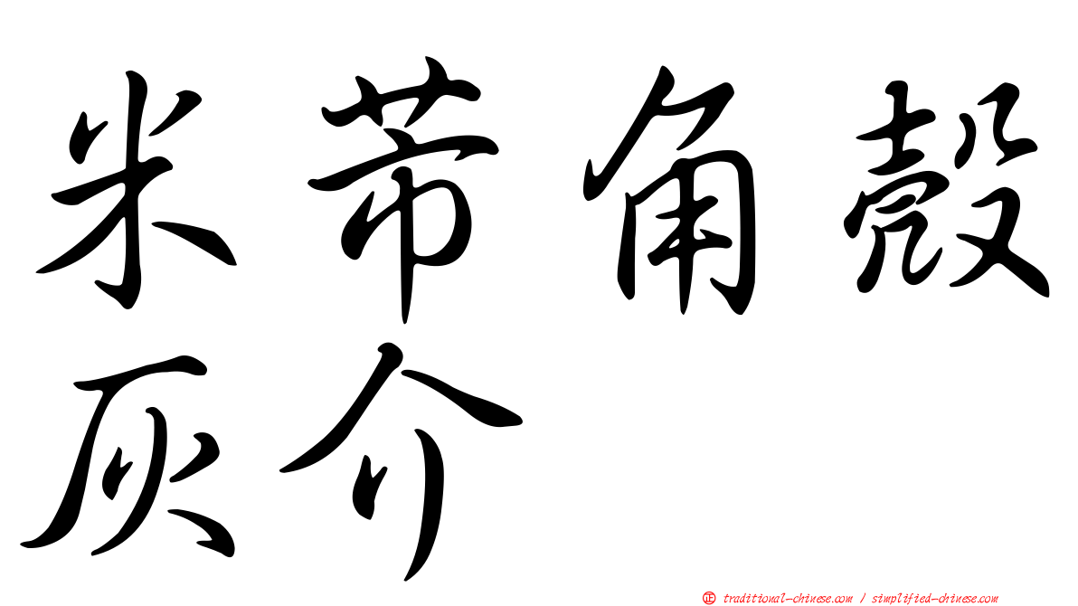 米芾角殼灰介