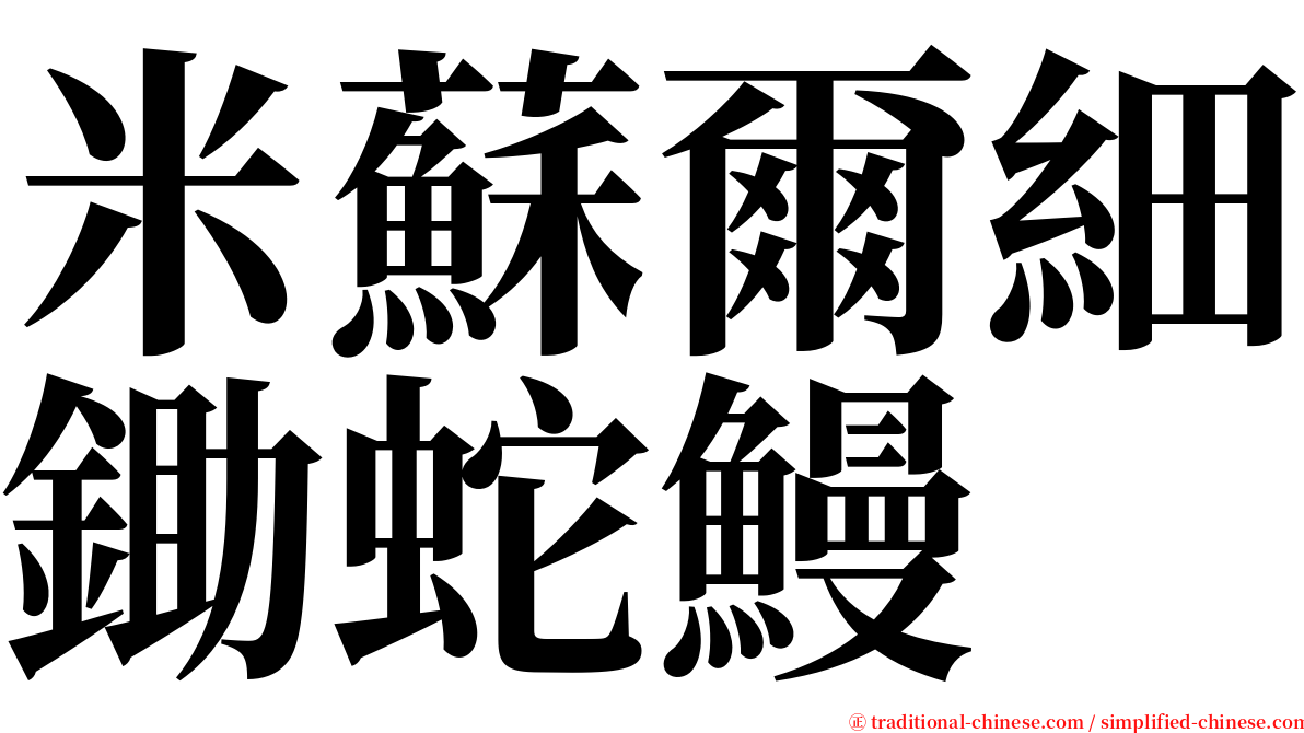米蘇爾細鋤蛇鰻 serif font