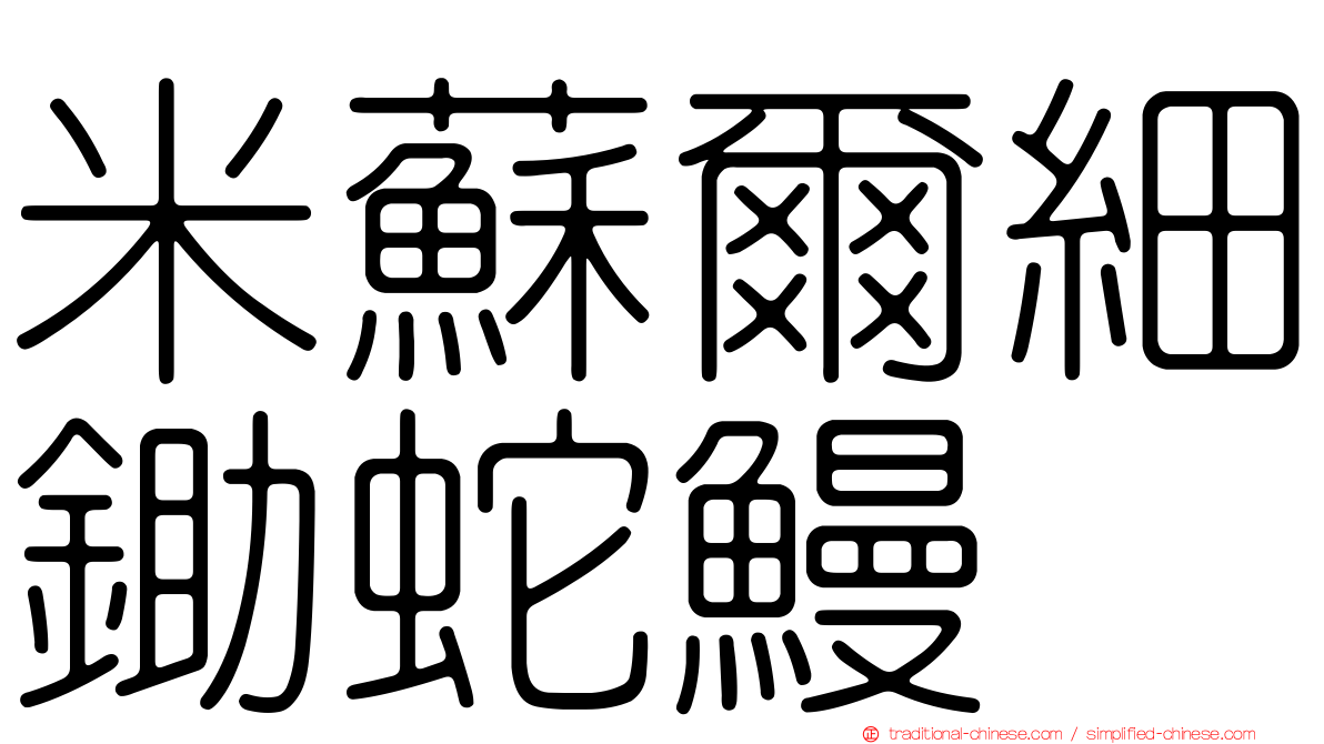 米蘇爾細鋤蛇鰻