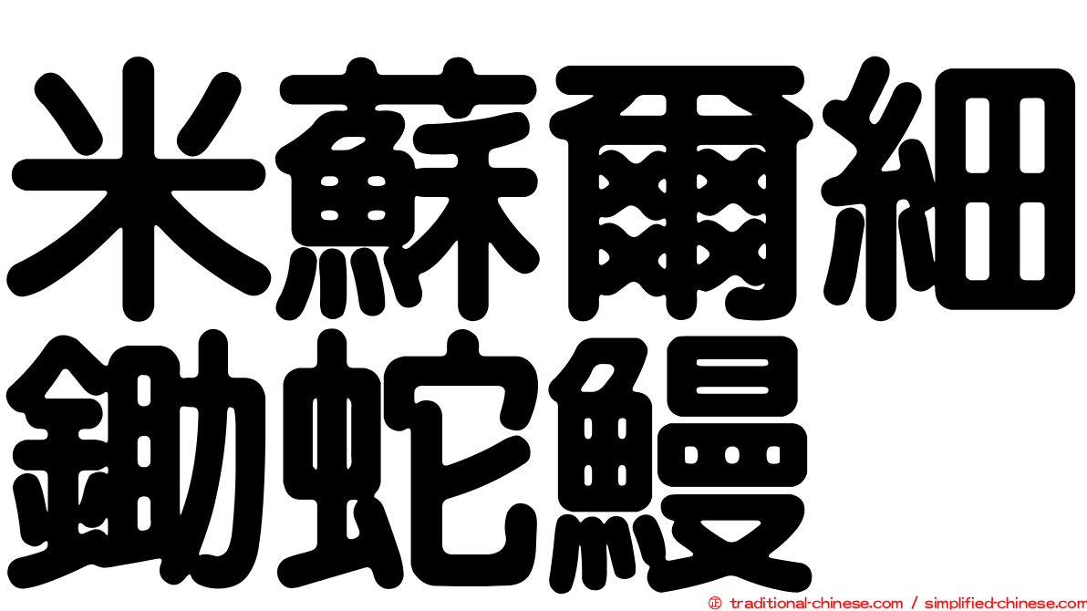 米蘇爾細鋤蛇鰻