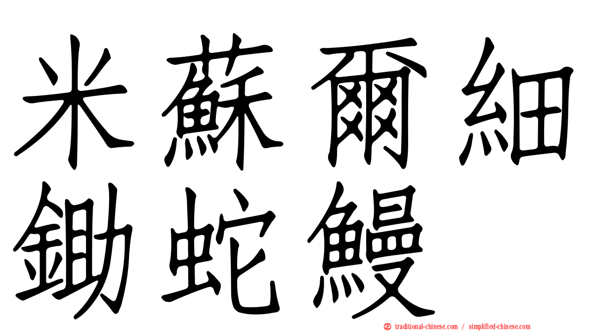米蘇爾細鋤蛇鰻