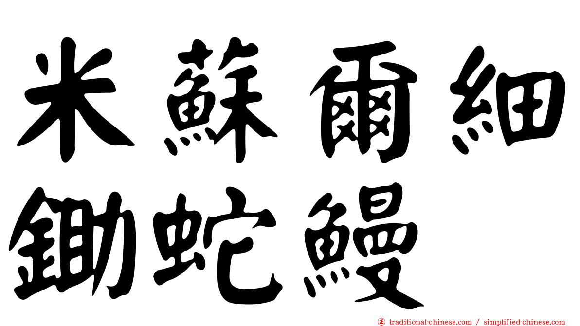 米蘇爾細鋤蛇鰻
