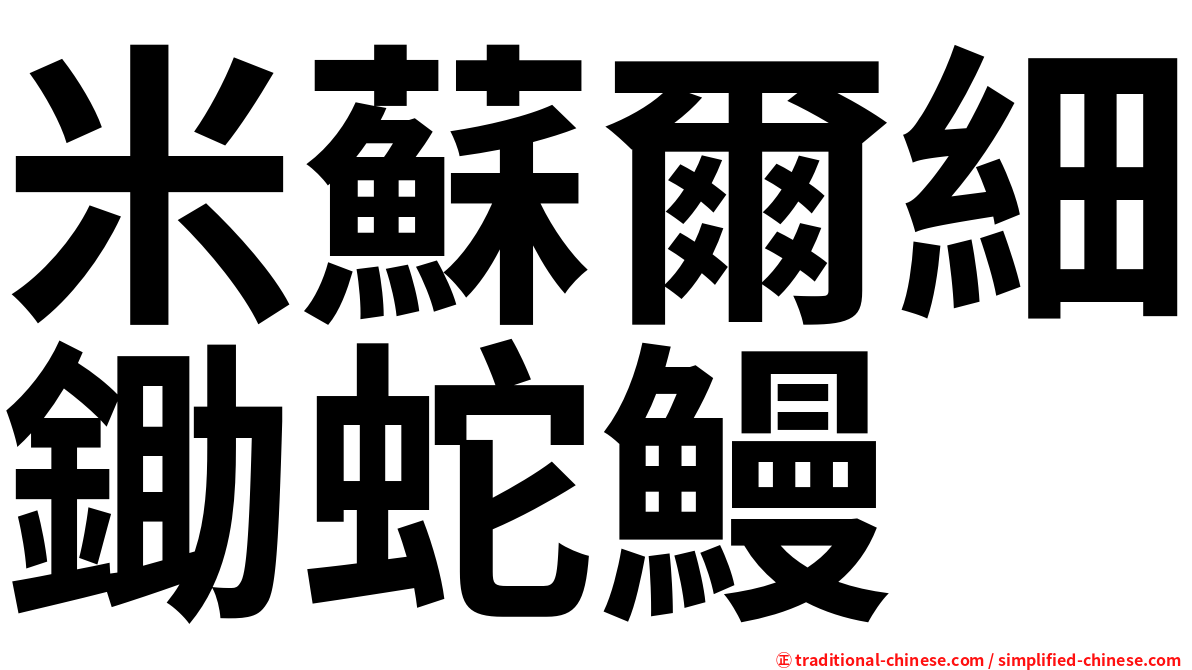 米蘇爾細鋤蛇鰻