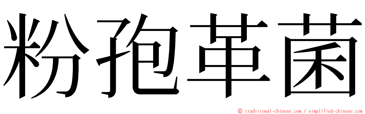 粉孢革菌 ming font