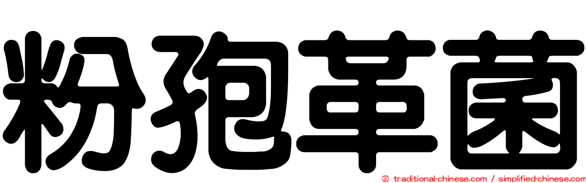 粉孢革菌