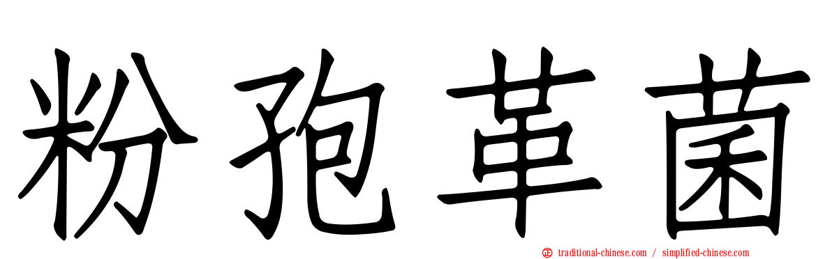 粉孢革菌