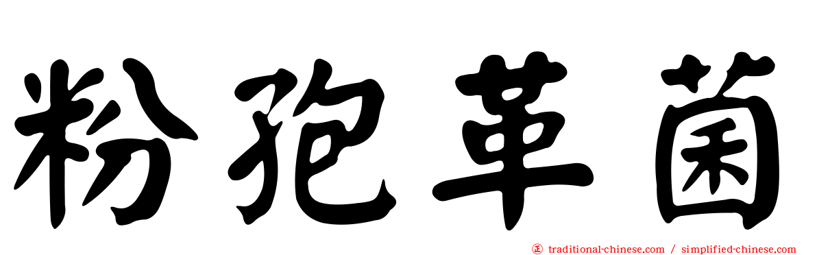粉孢革菌