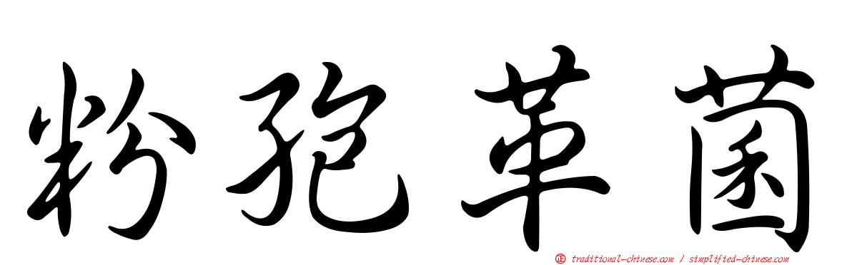 粉孢革菌