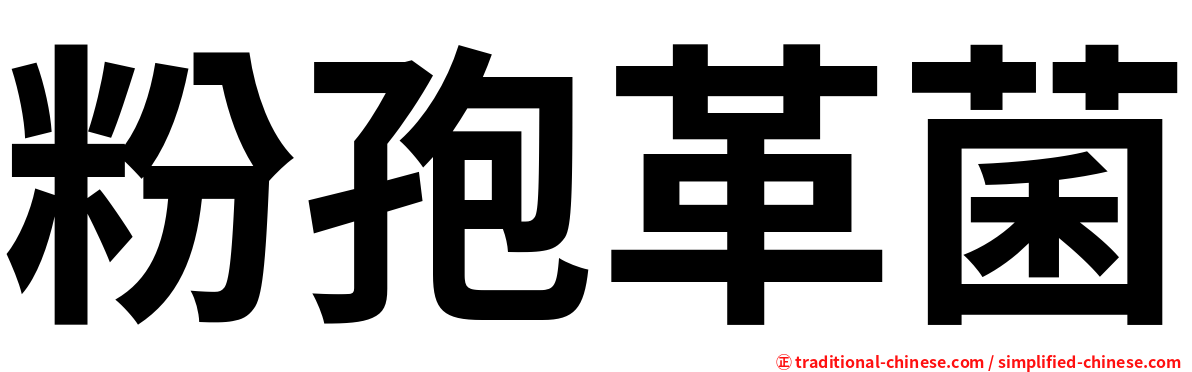 粉孢革菌